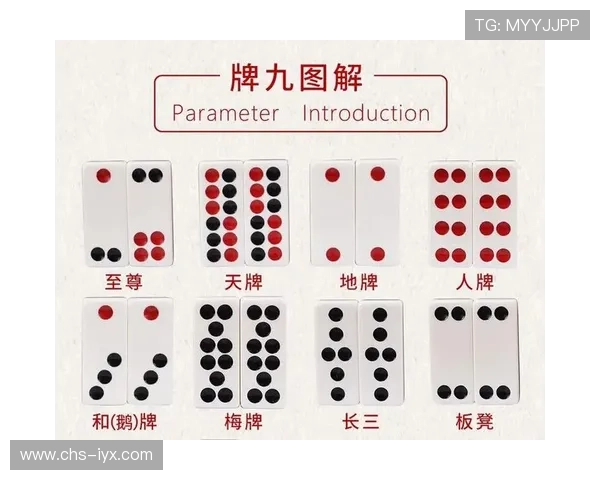 打牌九的最佳组合有哪些，详细解析不同牌型的搭配技巧